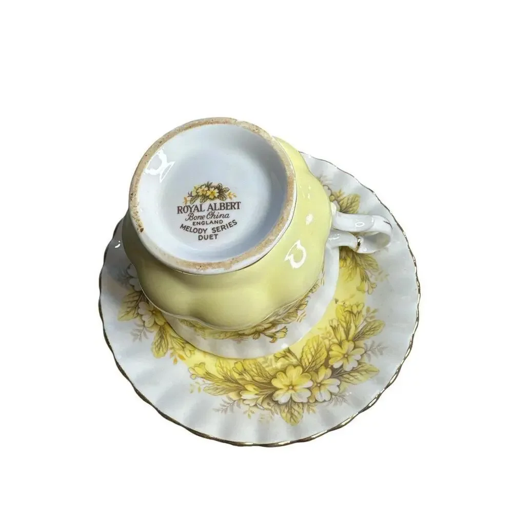 1960 Royal Albert MELODY SERIES DUET Teacup and Saucer. This teacup set is in ex